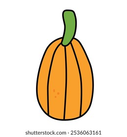 Ripe orange pumpkin. Doodle drawing