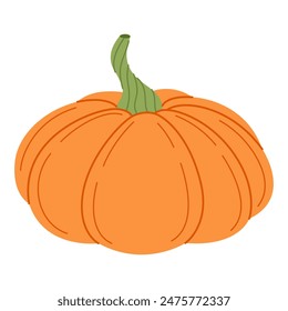 Ripe orange pumpkin. Hand drawn trendy flat style isolated on transparent background. Organic food, Autumn Harvest, Thanksgiving, halloween concept. Healthy vegetarian menu. Vector illustration