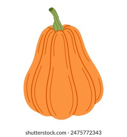 Ripe orange pumpkin. Hand drawn trendy flat style isolated on transparent background. Organic food, Autumn Harvest, Thanksgiving, halloween concept. Healthy vegetarian menu. Vector illustration