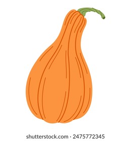 Ripe orange pumpkin. Hand drawn trendy flat style isolated on transparent background. Organic food, Autumn Harvest, Thanksgiving, halloween concept. Healthy vegetarian menu. Vector illustration