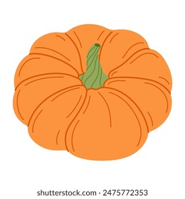 Ripe orange pumpkin. Hand drawn trendy flat style isolated on transparent background. Organic food, Autumn Harvest, Thanksgiving, halloween concept. Healthy vegetarian menu. Vector illustration