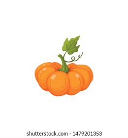 Ripe orange pumpkin icon isolated on white background. Fresh pumpkin vector illustration.