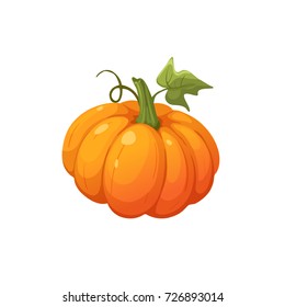 Ripe orange pumpkin icon isolated on white background. Fresh pumpkin vector illustration.