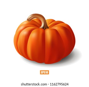 Ripe orange pumpkin isolated on white, symbol and sign, holiday. Halloween, Thanksgiving. Beauty and health. 3D effect. Vector illustration. EPS10