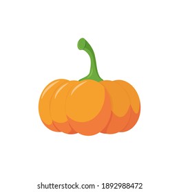 Calabaza naranja madura aislada en un fondo blanco. Ilustración vectorial al estilo de las caricaturas. Calabaza orgánica brillante, patrón de diseño otoñal, concepto de comida ecológica, elemento de diseño gráfico