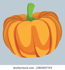 Ripe orange pumpkin isolated on white background. Cucurbita pepo. Fall harvest gourds. Healthy organic food concept. Vector vegetables illustration in flat style.