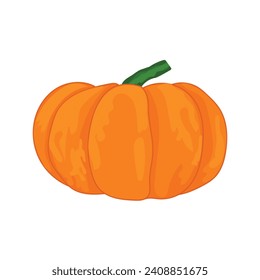 Ripe orange pumpkin isolated on white background. Healthy organic food concept. Vector vegetables illustration in flat style.