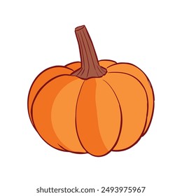 Ripe orange pumpkin isolated on white background. Cucurbita pepo. Fall harvest gourds. Healthy organic food concept. Vector vegetables illustration in flat style.