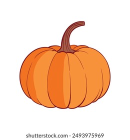 Ripe orange pumpkin isolated on white background. Cucurbita pepo. Fall harvest gourds. Healthy organic food concept. Vector vegetables illustration in flat style.