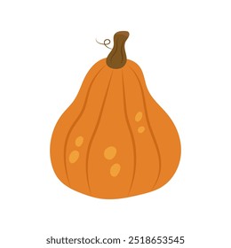 Reifer orangefarbener Kürbis einzeln auf weißem Hintergrund. Flache Vektorgrafik.