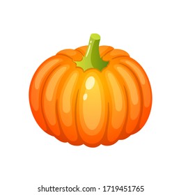 Ripe orange pumpkin, vector icon, fresh and healthy vegetables.