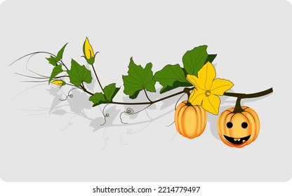 ripe orange pumpkin vegetable with green leaves, an illustration of an autumn pumpkin with vines tendrils