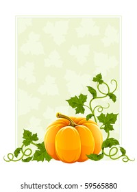 ripe orange pumpkin vegetable with green leaves