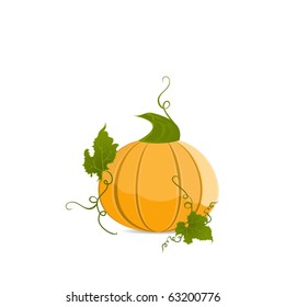 Ripe orange pumpkin vegetable with green leaves. Vector