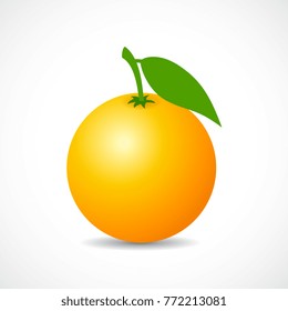 Ripe orange vector icon illustration isolated on white background