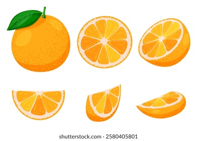 Ripe orange whole and sliced set isolated on white background. Vector flat cartoon illustration. Citrus tropical fruit design elements