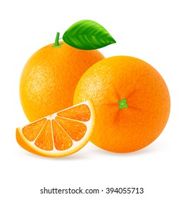 Ripe oranges fruits and slices with leaf isolated on white background. Realistic vector illustration.