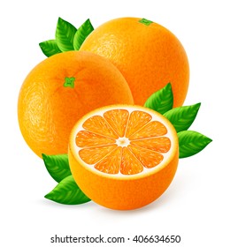 Ripe oranges fruits and slices with leaf isolated on white background. Realistic vector illustration.