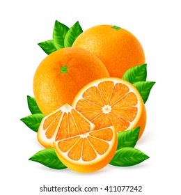 Ripe oranges fruits and slices with leaf isolated on white background. Realistic vector illustration.