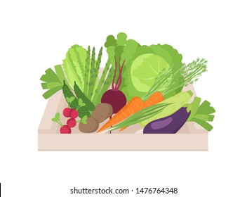 Ripe organic vegetables in wooden box isolated on white background. Gathered natural crops in crate. Harvest, pile of healthy fresh food, farm products. Flat cartoon colorful vector illustration.