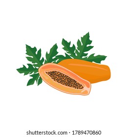Cruce de papaya madura, mitad y toda la exótica y deliciosa fruta con semillas negras y hojas verdes. Ilustración de dibujos animados vectoriales planos aislados en fondo blanco