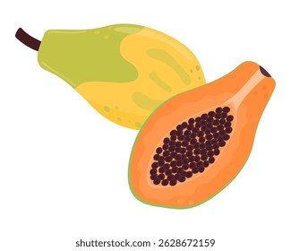 Ripe papaya fruit whole and sliced. Vector illustration is isolated on a white background.