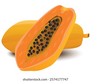 ripe papaya on white background vector design