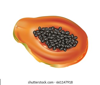 Ripe papaya on white background