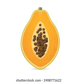 Ripe papaya slices on a white background. Vector fruits.