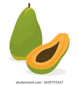 Ripe papaya whole fruit and half isolated on white background. Vector illustration of tropical exotic fruits in flat style.