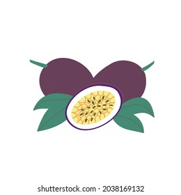 Ripe passion fruit. Cartoon illustration of an exotic fruit on a white isolated background. Hand-drawn organic food. Tropical treats. The concept of healthy eating.