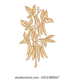Ripe pea bean sprout bears fruit, vector cartoon illustration.
