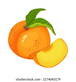 Ripe peach composition with foliage and juicy fruit slice.Cartoon vector graphic.