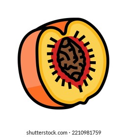 ripe peach cut pit color icon vector. ripe peach cut pit sign. isolated symbol illustration