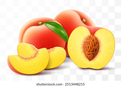 Ripe peach fruit illustration. Half, whole and slice juicy of peach isolated on transparent background. Realistic 3d vector set. Velvety, golden-orange plant with green leaf