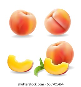 Ripe peach fruit with leaf isolated Realistic vector illustration.