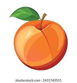 Ripe Peach Fruit Vector Illustration on White Background