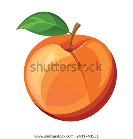 Ripe Peach Fruit Vector Illustration on White Background