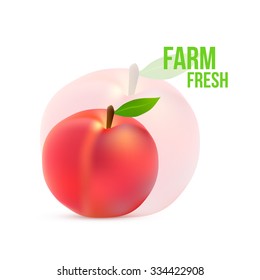 Ripe peach with a green leaf on a white background Vector