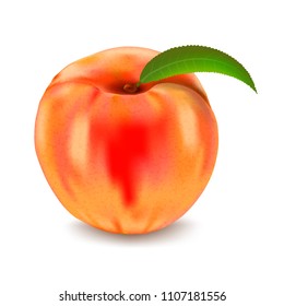 Ripe peach isolated on white background. Vector illustration.