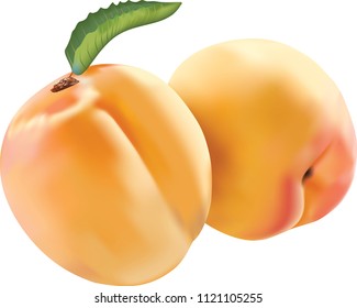 Ripe peach isolated on white