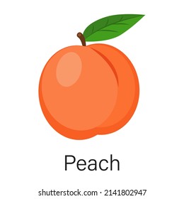 Ripe peach isolated on white background. Vector illustration in flat style