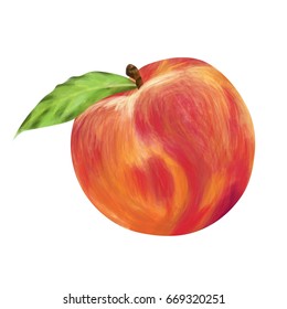 Ripe peach on a white background. Vector illustration.