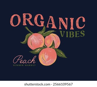 Ripe peaches on branch with leaves vector art, Apricot hand painted vector art, Organic fruit artwork for t shirt, poster, graphic print, label design 