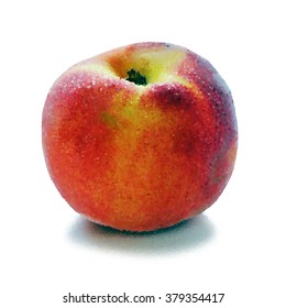 Ripe peaches. Vector illustration EPS 10