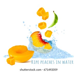 Ripe peaches in water splash. Vector illustration.