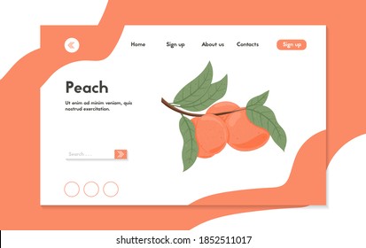 Ripe peaches, whole, sliced and half sliced peaches. Sweet nectarine fruits vector hand drawn landing page design. Peach seed, leaves. Juice or jam website page concept.