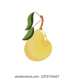 Ripe pear on white background