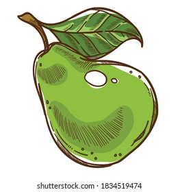 Ripe pear organic and healthy products, isolated fruit with leaf. Healthy eating, antioxidants and vitamins in berry, summer and autumn harvesting. Seasonal meal and ingredients, vector in flat