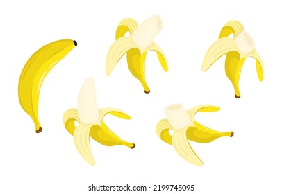 Banana pelada madura con parte mordida de fruta. Cosechando frutas tropicales. Frutos sanos ambientados en dibujos animados aislados en fondo blanco